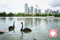 我们总以为旅行是去看风景

其实是借山河治愈内心

人一辈子困在原地

眼界就会越来越窄

心事也会越积越多

走出去你才会明白

世上没有解不开的心结

只有没被山水开阔的格局

看过山川湖海

见过人间百态

就会慢慢放下执念

看淡得失

原来远行

从来都是渡自己