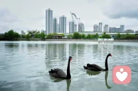 我们总以为旅行是去看风景

其实是借山河治愈内心

人一辈子困在原地

眼界就会越来越窄

心事也会越积越多

走出去你才会明白

世上没有解不开的心结

只有没被山水开阔的格局

看过山川湖海

见过人间百态

就会慢慢放下执念

看淡得失

原来远行

从来都是渡自己