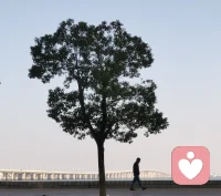 人生两个境界，一个知道，一个知足，知道自己想要的，知足自己拥有的，心有沉静时，风来茶意香，茶在手中是风景，茶在口中是人生。