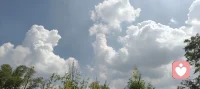 人只有经过逆境的挣扎与绝望之后，才会真正成长。所谓的成长，本来就是让自己保持痛苦。当一个人的命运陷入谷底的时候，一定要永不言弃，一定要坚持不懈，只有经历磨难之后的人，才能涅槃重生，才能破茧成蝶。所以纵横家们不会让自己死在黎明。因为人生其实没有捷径，只有坚持，跌入谷底，必入绝境，陷入黑暗，距离阳光就会越来越近。

不需要立刻好起来，允许自己暂时烂在谷底一会儿。但请记住：你这不是坠落，是在扎根。等你觉得根扎稳了，就抬头看看，光其实一直在。