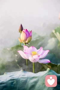 很多心事说给别人只会换来不解，但你放心，我永远站在你这边，理解你的所有为难。
