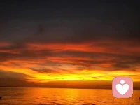 想让苹果树长满苹果，
绝不是买来苹果粘在树上，
而是给树施加营养让它长满果实；
获得与拥有的核心
不是外寻而是从内在长出！