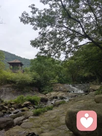 永远不会有人理解你，认识到这点就是自由。––––(拜伦＊凯蒂)