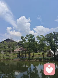 七月盛夏，云格外白，蝉格外噪