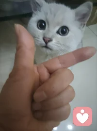 白天扮演大人，夜晚做回自己。我是你的深夜倾听伙伴，接纳你所有心事和委屈。