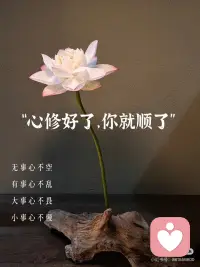 人生事一半看清，一半看轻，看淡世事沧桑～