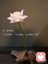 人生事一半看清，一半看轻，看淡世事沧桑～