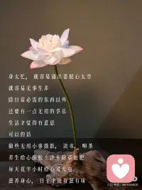 人生事一半看清，一半看轻，看淡世事沧桑～