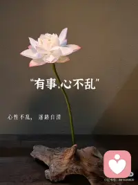 人生事一半看清，一半看轻，看淡世事沧桑～