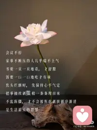 人生事一半看清，一半看轻，看淡世事沧桑～