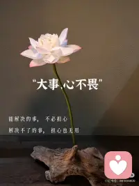 人生事一半看清，一半看轻，看淡世事沧桑～