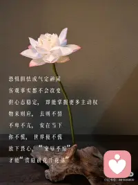 人生事一半看清，一半看轻，看淡世事沧桑～