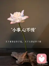 人生事一半看清，一半看轻，看淡世事沧桑～