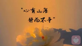 观心解忧