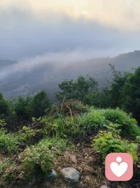 云深不知处，心情不好的时候就去山里转转，听听音乐，唱唱歌，不论何时，我都是个安静的倾听者