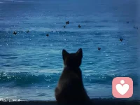 务必请你，一而再，再而三，
三而不竭，千次万次，
毫不犹豫地，救自己于这世间水火。