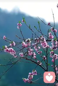 早安。不必追赶所有人的脚步，稳住自己的节奏，认真生活，时光自有馈赠。配图
