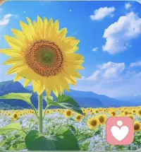 新的清晨，放下昨日的烦恼。生活难免有起伏，稳住心态，慢慢前行。愿我们心怀暖意，向阳而生，早安！