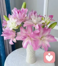 生如夏花之绚烂，死如秋叶之静美。

纵使时光短暂，也要生如夏花。配图