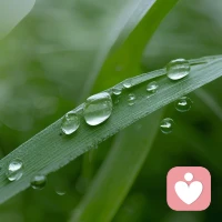 你好！我是刚入驻的倾听师，我会专注倾听你的故事，陪伴你梳理情绪。不管是难过，迷茫还是心里堵的慌，都可以和我倾诉。你可以自由表达，不用顾虑。我会安静倾听你的感受。