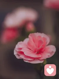 今天再大的事，到了明天就是小事；今年再大的事，到了明年就是故事；今生再大的事，到了来世就是传说，我们最多也就是个有故事的人。