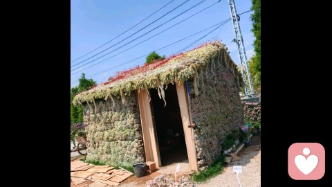 诉出生活当中积攒的心事,长时间憋在心里,慢慢就会形成压力。若是无人诉说,可以静下心慢慢倾诉出来,舒缓心里的烦闷。