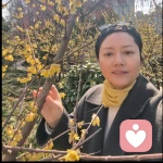 丽丽倾听的头像
