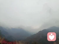 世事喧嚣，总有些心事无处安放。我愿做安静的听者，不评判、不急于给出答案，陪你慢慢与内心相逢，寻一份从容安宁。