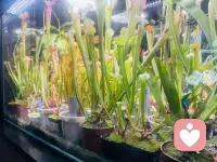 压力大的人容易晚睡，郁的人容易嗜睡，焦虑的人容易早醒，内耗的人容易多醒，思虑过重的人容易多梦
睡眠从来不是单纯的生理休息，更像是心理状态的晴雨表，有时候你总以为是睡眠出了问题，其实往深里看是心里的秩序乱了，所以你依赖的那些睡觉片片褪黑素，就像用胶水去补破碎的镜子，表面看着整齐了实际上裂痕还在那儿，真正需要解决的是那些没被化解的情绪，没有放下的压力，没有理顺的思绪......