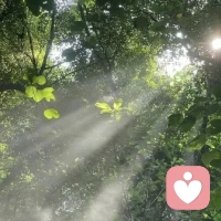 关于性的认知提升

我在就是宇宙的意义，活在当下，此刻的我，吃过早饭，

学习心理学，关于力比多的一些知识，彻底打破了对于性狭隘而又肤浅的认知

以前认为性只是男女之间情感交流，甚至还带有批判和偏见，各种各样的污秽，邪淫等

现在才明白性是人成长的一系列的心理活动过程，心理影响身体，

也可以说，身体是心理反应和体现，人所有的情绪模式都和6岁之前有关

性分为三个阶段，口欲，肛欲，生殖器，每个阶段的行为直接影响人的一生

比如口欲期有没有满足自身需要，会有两种表现，一个是口欲满足型，极度依赖，被动，乐观，轻信

另外一个就是肆虐型口欲，悲观，爱争论对错，黑白是非，言语上的攻击和谩骂

这两种类型是怎么产生的呢？

那就是在童年出生到1岁半时的抚养方式造成的，

如果孩子在此期间，遭受过严重的匮乏和忽视，没有被看见，另外就是过分的溺爱和娇惯都会产生性格的缺陷

你看认知提升了，问题就消失了，这样你就明白现在为什么是这种性格和处事方式了

人非圣贤，谁能无过，改就是了，这是一个思想认知的突破和跳跃

幸福的童年疗愈一生，不幸的童年一生都在疗愈，这和年龄无关，只要这个心魔不除，活到80岁也是如此
