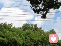 应无所住而生其心，只要做到这个状态，一切烦恼都没有了，

自己的和别人的都不放在心上，让它像河流一样流过，

面对新发生的事情，看着就好，看见而不卷入