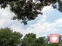 应无所住而生其心，只要做到这个状态，一切烦恼都没有了，

自己的和别人的都不放在心上，让它像河流一样流过，

面对新发生的事情，看着就好，看见而不卷入