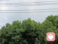 应无所住而生其心，只要做到这个状态，一切烦恼都没有了，

自己的和别人的都不放在心上，让它像河流一样流过，

面对新发生的事情，看着就好，看见而不卷入