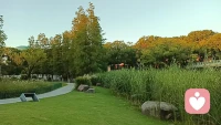 每个人都需要被看见，被认可他的价值存在，只有你认可了自己，才会认可别人，只有看见了自己才能看见别人，所以凡事向内求，向内看