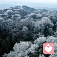 允许自己偶尔疲惫，也允许自己偶尔“学不会”。在这个喧嚣的世界里，保护自己的感受永远排在第一位。今天，我拒绝了消耗，守住了底线，这本身就是一种了不起的成长。把那些不愉快都留在风里吧，好好吃饭，好好睡觉，你值得世间所有的温柔与安宁。🌙✨