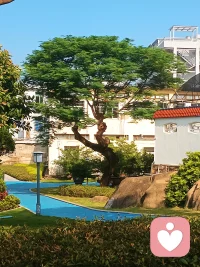 成年人最大的孤独，不是无人陪伴，而是心里积攒了万千情绪，满心倾诉欲，却找不到合适的出口。
 
太多时候我们不是没有心事，只是思绪杂乱缠绕，千头万绪堵在心口，不知道该从何说起。遇到的很多倾听，只是单纯的安静等候，被动地等着我们主动剖开内心，没有承接，没有引导，满腔的期待最后只剩落空的无奈。
 
真正的倾听，从来不是干坐着沉默等待。
我不会高高在上讲道理，不会轻易评判你的对错，更不会只把陪伴流于形式。如果你思绪纷乱、满腹心事却无从开口，不必强迫自己整理完整的语言，零碎的情绪、莫名的委屈、说不清道不明的压抑、藏在心底的执念与遗憾，都可以毫无保留地讲出来。
 
我会慢慢接住你的所有脆弱，一点点梳理你杂乱的思绪，温和地引导你打开心结。守住全部隐私边界，只做纯粹的情绪接纳与陪伴。
在这里你不必伪装，不必小心翼翼，卸下所有防备就好。我做你稳定的情绪树洞，接纳你所有不为人知的疲惫与不甘，陪你慢慢和自己和解。