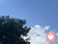 两只刺猬过冬，靠得太近会互相刺伤，离得太远又会寒冷，找到合适的距离，才能彼此温暖，这就是心理学上的刺猬法则。
 
很多社交困扰，都源于边界模糊：不好意思拒绝别人的请求，过度在意他人感受，害怕疏远所以一味迁就，最后委屈的只有自己。亲情、友情、爱情皆是如此，亲密不代表毫无保留。
 
真正舒服的相处，是亲而有间，疏而有度。懂得礼貌地拒绝，守住自己的底线，并不会毁掉一段关系。一味讨好换来的合群，都是假性社交，只会不断消耗你的精力。
 
不必强迫自己变成外向圆滑的人，内向、慢热、社恐都不是缺陷。不用迎合所有人的节奏，接纳自己的社交节奏，筛选同频的人，才是最高级的处世方式。如果你在人际交往里总是倍感压抑，我愿意耐心听你的困扰，一起梳理相处的分寸。