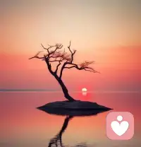 窗外的雨下得慢悠悠的，你也跟着慢下来，不用急着赶去任何地方。配图