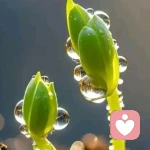 林深见鹿的头像