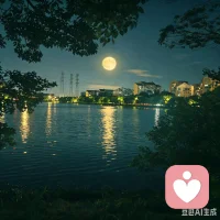  夜色里的湖面，接住你的所有情绪