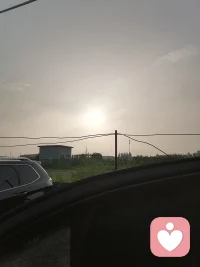 早安朋友们配图
