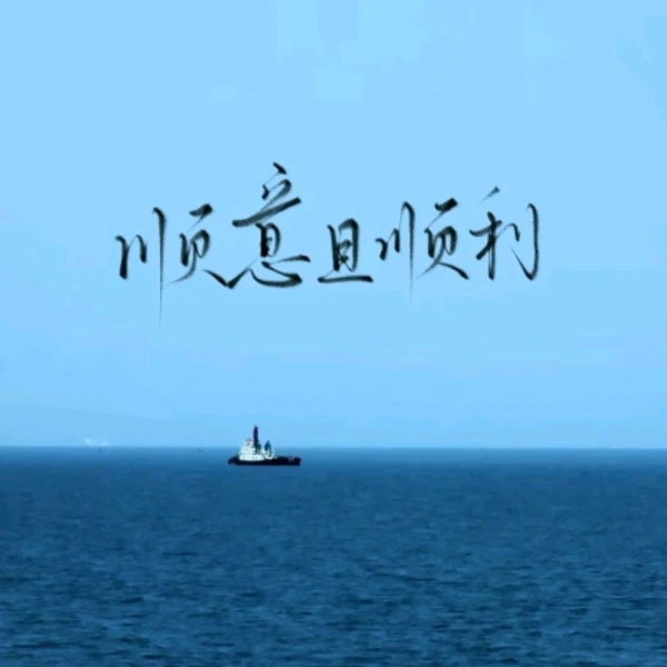 一只熬夜的猫