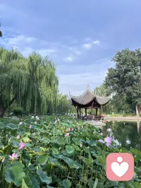 人生有一百种可能,不必困在原地,往前走祝好运,祝前路坦荡,万事可期。 ​​​