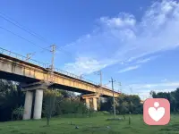 没有哪一条路,能够轻易避开遗憾,也没有哪一种选择,能够集齐所有答案。 ​​​