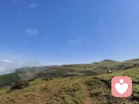 成年人最大的清醒，就是绝不拿别人的错误，惩罚自己。
别人的错，止于别人，自己的心，归于自己。
不生气，不纠结，不内耗，不纠缠。
允许别人犯错，允许他人不懂你，允许世事不如意，接纳所有不完美，看淡所有不值得，情绪稳定，是一个人最顶的养生。