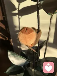 好好感受日常里的微光，去认真生活，去好好爱自己。保持热忱，稳步向前。属于你的光芒，从来不需要依靠别人来照亮。前路漫漫，自有风景，你只管闪闪发光，一切美好都会慢慢向你奔赴而来。