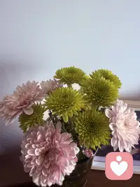 工作是价值交换，不是寻求情绪认同。不必渴求所有人的理解与偏爱，也不要将自我价值完全绑定在一份岗位之上。尽本分，守边界，待人保持分寸，内心保留疏离。外界喧嚣起落，只专注可控之事，接纳不可控的人事，减少精神内耗。