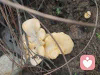 云南人的快乐，上一次山就能体会到