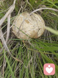 云南人的快乐，上一次山就能体会到