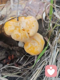 云南人的快乐，上一次山就能体会到